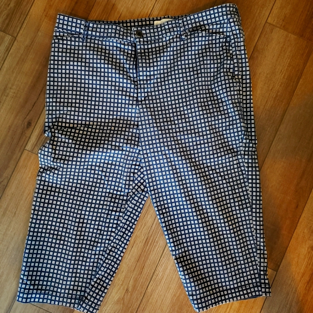 Gloria Vanderbilt capris plus size 18